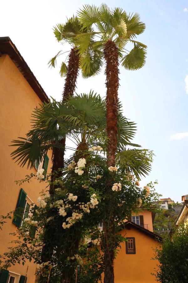 B&Borgo Ascona Exteriör bild